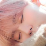 [세븐틴] 이번년도에 <b>벚꽃구경</b>을 이렇게 한다 내가