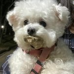 [드루와] 친구랑 같은 아파트 사는데 넘 좋다