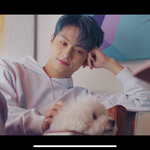 [세븐틴] 강아지와 고양이가 사이좋은 <b>모습</b>이라니