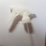 얘들아 이거 닭 <b>벼슬</b> 같냐?