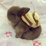 근데 <b>정국이</b>가 8년 동안