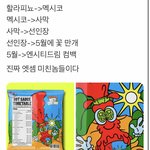 [NCT즌] ㅁ쳤다...<b>맥시</b>코컨셉인다봐