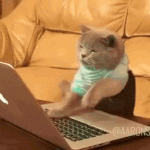 [코인] 분노의 매수<b>매도</b>