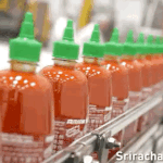 [NCT즌] <b>자자</b> 드림 컴백합니다