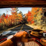 '<b>차박</b>' 로망 자극하는 사람들