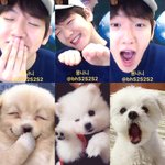하.. 변백현 <b>귀척</b> 쩔어