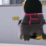 플라잉<b>펭</b><b>수</b> 귀여워 ㅠ