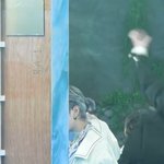 [NCT즌] 스엠 <b>꽁지머리</b>에 꽂힌거 ㄹㅇ인듯