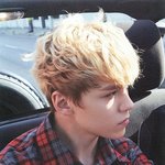 [세븐틴] 정신챙겨 모<b>발아</b>