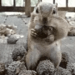 [방탄소년단] 아니 <b>본인들</b>은 다이어트 하면서