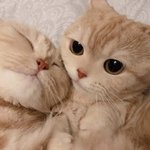 사람들 <b>눈치싸움</b>은 이거지..