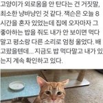 [추반] 정시로 갈건데 <b>무단</b> 지장있냐,, 추반좀