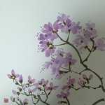 [문인화] <b>봄꽃</b>진달래 문인화 묵당 박병배