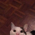 <b>mbti</b> 개웃긴 특징 발견함