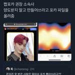[<b>NCT</b>즌] 타돌인데 너네 이거 봤냐...