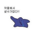 이름 개명하고 싶은데 추천 좀