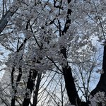 내가 좋아하는 여돌 띵곡