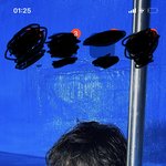 [더보이즈] 진짜 폰 <b>킬</b><b>때</b>마다