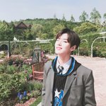 [펜타곤] 나 빛나리 때 홍시 첨보고