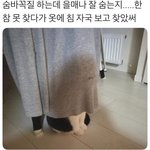오늘 <b>퇴원</b>한당~~~