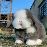 [19] 짝남 도촬한거 <b>빛삭</b>❤️