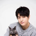 덩치만 크고 <b>무해</b>한 초식공룡상