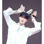 비주얼 세계에 <b>서식</b>하는 男돌