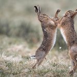 <b>다채</b>로운 매력이 돋보이는 사진들