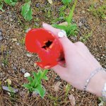 [NCT즌] 얘 기여워서 <b>우짬</b>