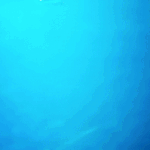 [이것좀봐줘] 데뷔5년차에 첫수중씬 촬영한 아이돌