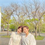 써니힐 <b>역주행</b> 기원 24일차