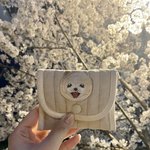 강아지 스톤을 찾습니다ㅠㅠ