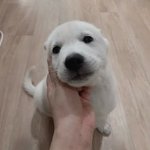 [19] 나 방금 엄청난 일을 겪었어