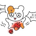 [댓글부탁해] 이정도면 저<b>체중</b> 맞지