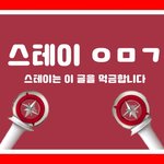 [스키즈] 테이들아 먹금짤 다들 챙겨