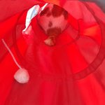 나의 동거묘 도칠이 2021년 <b>봄날</b> 일상들..