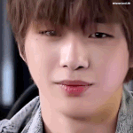 [강다니엘] [<b>쇼터</b>뷰]강다니엘 안 좋아하는 방법 뭔데...유죄니엘