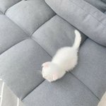 [19] 내전남친이랑 내친구 사귄대