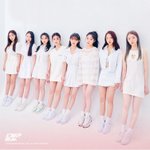 라잇썸 8<b>인조</b> 확정 + 포지션 공개