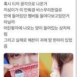 [NCT즌] 대박 <b>궁예</b>