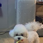 [<b>캣</b><b>맘</b>드루와] 길고냥이 챙겨주는거 ㅇㄸ