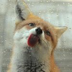 ㅆ1발 이 ㅅㅐ끼 <b>엿</b>먹일 방법좀