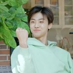 [NCT즌] 내일을 위해 <b>자유</b>