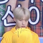 [세븐틴] 권호시 완벽한