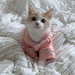 요즘 방까들 배플<b>조작</b> 왜이렇게 심하냐