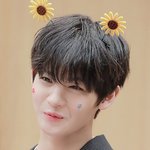 후 <b>불면</b> 날아갈 민들레홀씨들