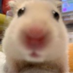 [드루와] 얘들아 할머니집으로 <b>피신</b> 갈까 말까 ㅊㅂ좀