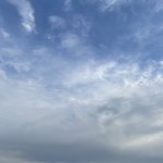 본진 노래 추천 해주라!!!