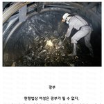 대한민국에서 <b>법적</b>으로 여성이 금지된 직업. jpg
