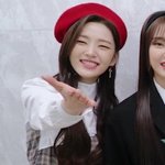 코가 못생겼어도 이목구비 <b>조화</b>가 괜찮으면 마기꾼아님?